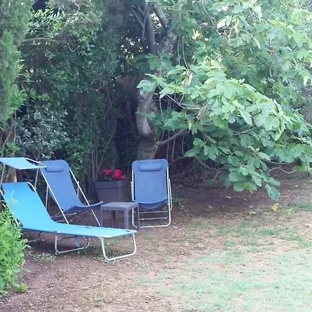 Studio: Quiet Oasis With Pool In Villeneuve-lès-avignon Apartment Villeneuve-les-Avignon